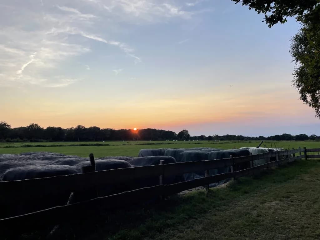 Sfeerbeeld van Berka Jong